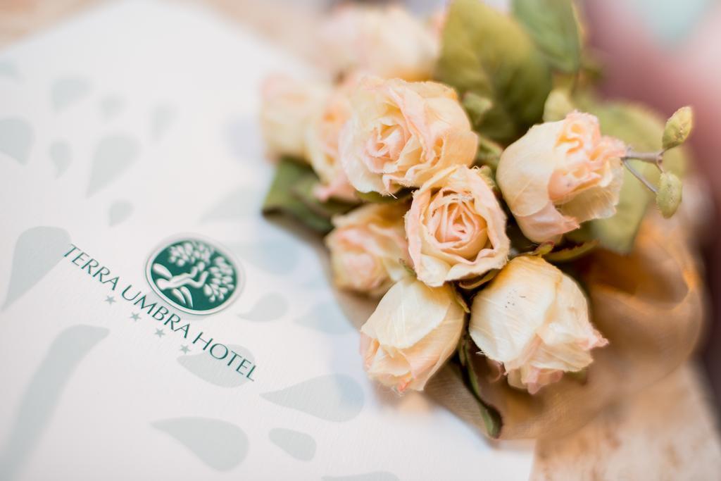 Terra Umbra Hotel ナルニ 部屋 写真
